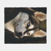 Schönes Husky Throw Kissen Fleecedecke (Vorderseite (Horizontal))
