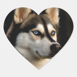 Schönes Husky Throw Kissen Herz-Aufkleber