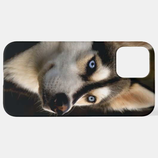 Schönes Husky Throw Kissen iPhone Hülle (Hinten horizontal)