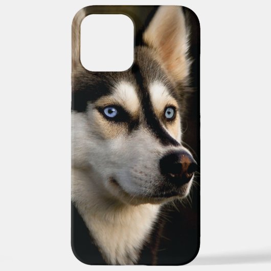 Schönes Husky Throw Kissen iPhone Hülle (Rückseite)
