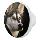 Schönes Husky Throw Kissen Keramikknauf (Rechts)