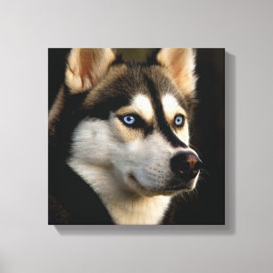 Schönes Husky Throw Kissen Leinwanddruck