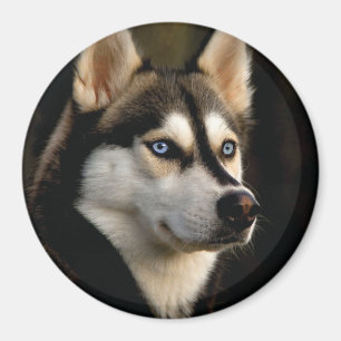 Schönes Husky Throw Kissen Magnet