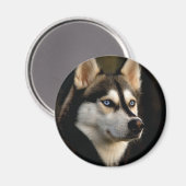 Schönes Husky Throw Kissen Magnet (Vorderseite/Rückseite)
