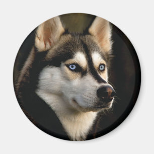 Schönes Husky Throw Kissen Magnet