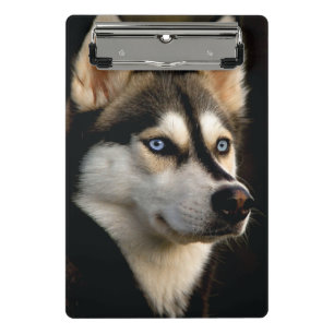 Schönes Husky Throw Kissen Mini Klemmbrett