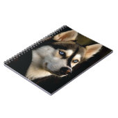 Schönes Husky Throw Kissen Notizblock (Linke Seite)