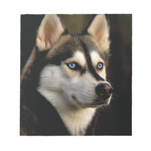 Schönes Husky Throw Kissen Notizblock