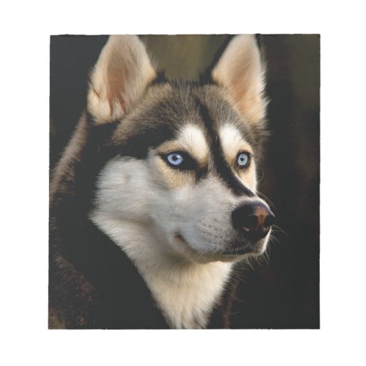 Schönes Husky Throw Kissen Notizblock (Vorderseite)