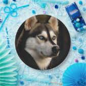Schönes Husky Throw Kissen Pappteller (Party)