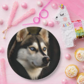 Schönes Husky Throw Kissen Pappteller (Party)