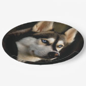 Schönes Husky Throw Kissen Pappteller (Schrägansicht)