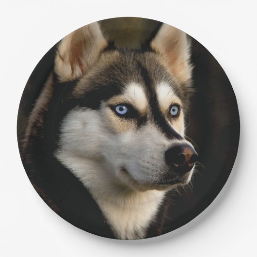 Schönes Husky Throw Kissen Pappteller (Vorderseite)