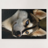 Schönes Husky Throw Kissen Puzzle (Horizontal)