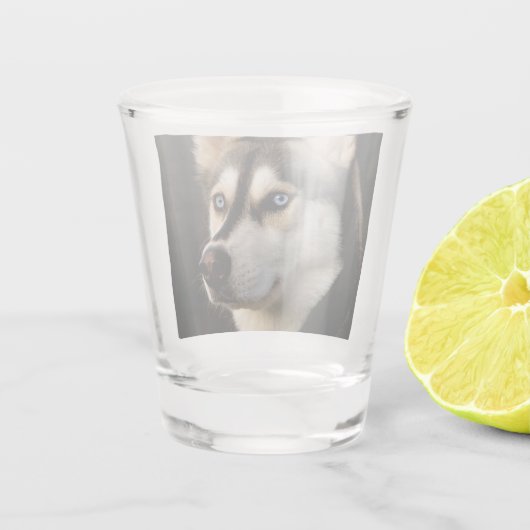 Schönes Husky Throw Kissen Schnapsglas (Rückseite)