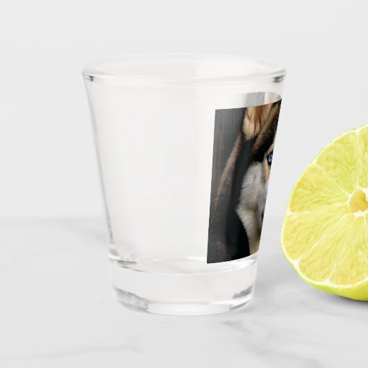 Schönes Husky Throw Kissen Schnapsglas (Links)