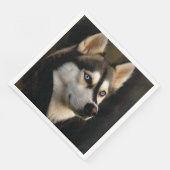 Schönes Husky Throw Kissen Serviette (Ecke)