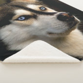 Schönes Husky Throw Kissen Sherpadecke (3/4)