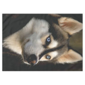 Schönes Husky Throw Kissen Tischdecke (Vorderseite (Horizontal))
