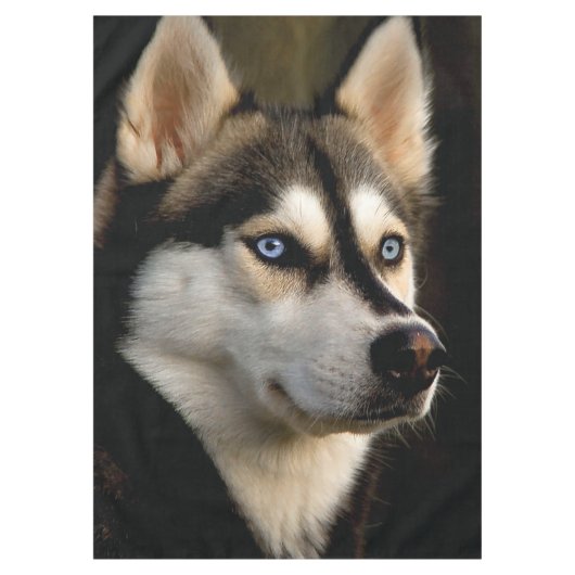 Schönes Husky Throw Kissen Tischdecke (Vorderseite)