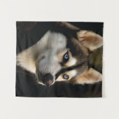 Schönes Husky Throw Kissen Wandteppich (Vorderseite (Horizontal))