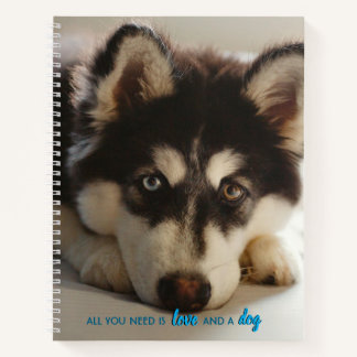 Schönes Husky-Welpen-Notebook, in voller Größe Notizblock