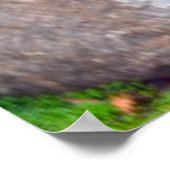 Schönes japanisches Gartenbild Poster (Ecke)