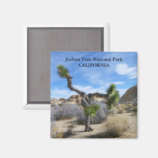 Schönes Joshua Tree Magnet! Magnet (Vorderseite/Rückseite)