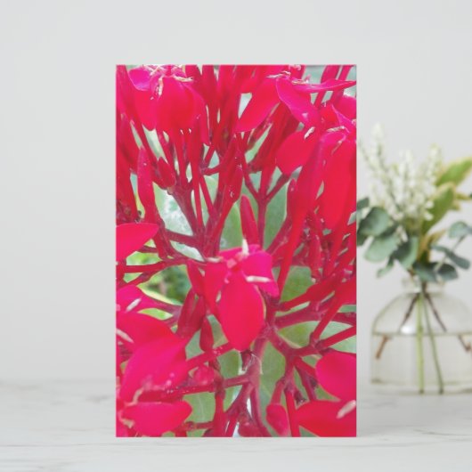 Schönes Kaleidoskop mit farbenfroher Rotmilch Briefpapier (Stehend Vorderseite)