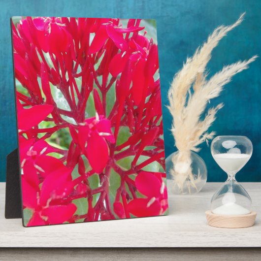 Schönes Kaleidoskop mit farbenfroher Rotmilch Fotoplatte (Seite)