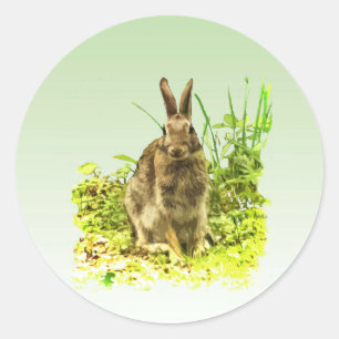 Schönes Kaninchen in Grasaufkleber Runder Aufkleber