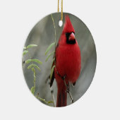 Schönes Kardinal Foto - Ornament (Rechts)