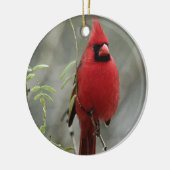 Schönes Kardinal Foto - Ornament (Links)