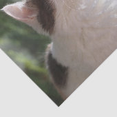 Schönes Kätzchen im Garten Seidenpapier (Ausschnitt)