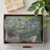 Schönes Kätzchen im Garten Seidenpapier (Geschenk)