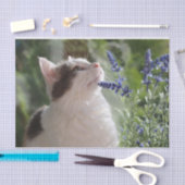 Schönes Kätzchen im Garten Seidenpapier (Handwerk)