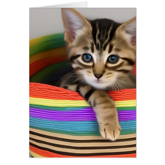 Schönes Kätzchen in einem farbenfrohen Korb im Inn (Vorne)