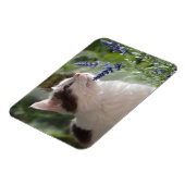 Schönes Kitten im Garten Magnet (Linke Seite)