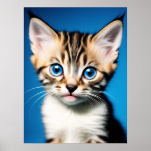 Schönes Kittenportrait mit schönen blauen Augen Poster