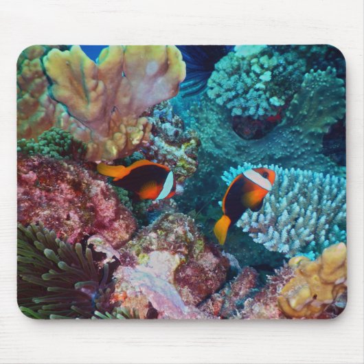Schönes Korallenriff mit Fisch Mousepad (Vorne)