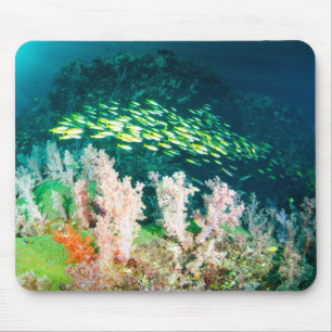 Schönes Korallenriff mit Fischschule Mousepad