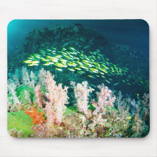 Schönes Korallenriff mit Fischschule Mousepad (Vorne)