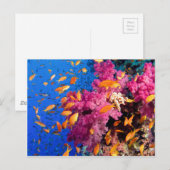 Schönes Korallenriff Naturlandschaft Postkarte (Vorne/Hinten)