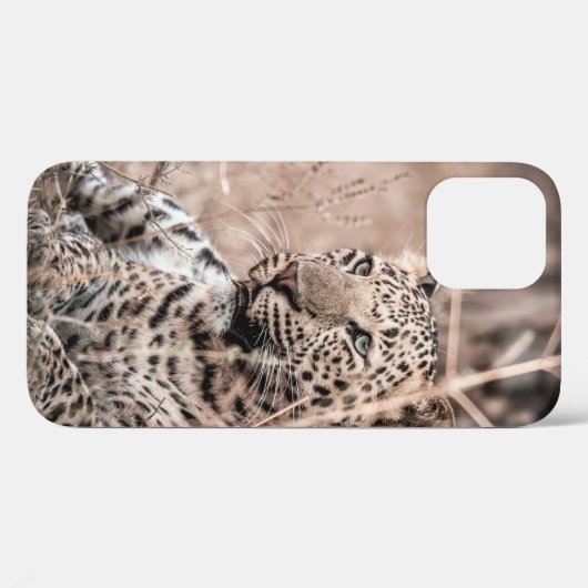 Schönes Kunstbild Großer Wildleopard oder -panthe Case-Mate iPhone Hülle (Rückseite (Horizontal))