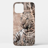 Schönes Kunstbild Großer Wildleopard oder -panthe Case-Mate iPhone Hülle (Rückseite)