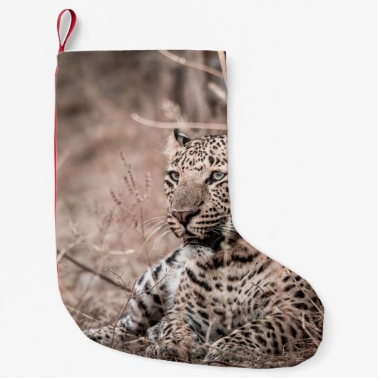 Schönes Kunstbild Großer Wildleopard oder -panthe Kleiner Weihnachtsstrumpf (Vorderseite)