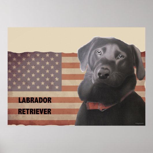 Schönes Labrador Retriever American Flag Poster (Vorne)
