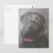 Schönes Labrador Retriever Zeichnend Postkarte (Vorne/Hinten)
