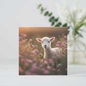 Schönes Lamm (Stehend Vorderseite)