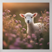 Schönes Lamm Poster (Vorne)